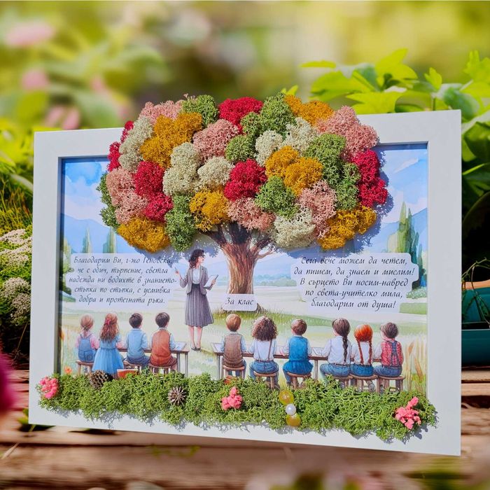 Комплекти за Дипломиране, Пана за учители