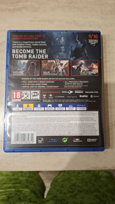 Tomb Raider Definitive Edition