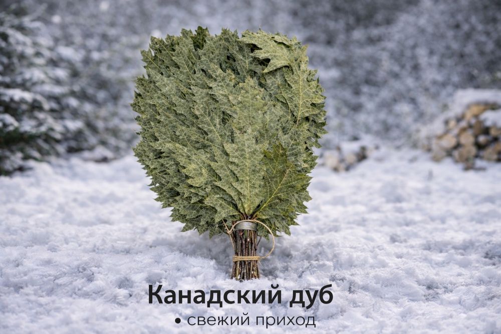 Дубовые веники для бани (ручная вязка).