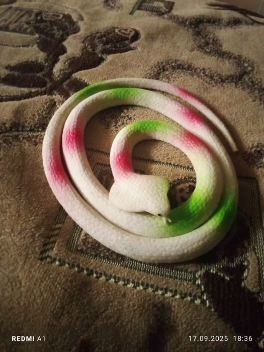 Vând șarpe de cauciuc