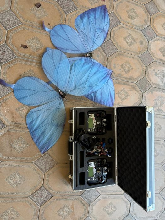 Летающие бабочки ,Көбелек