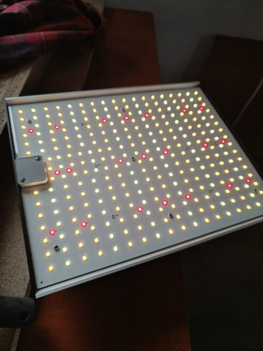 Lampa pentru creșterea plantelor