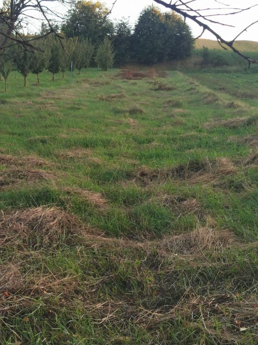 Casă cu Teren  Humulesti- Preț Negociabil!