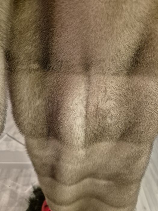 Норкавая шуба с питоном