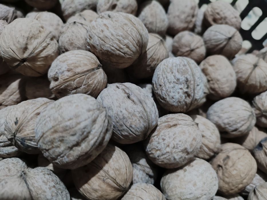 Гретские Орехи крупные