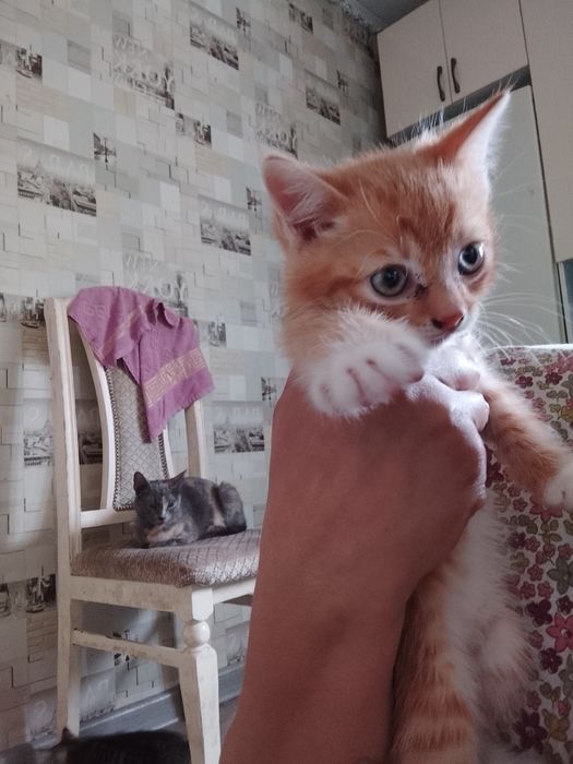 Марґалар бар суйкимди