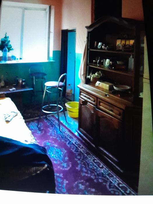 Garsoniera la padurea neagra