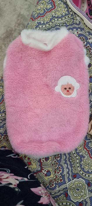 Одежда для кошек