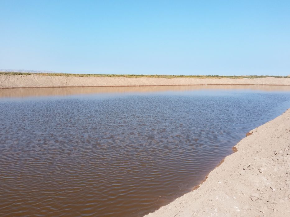 Baliqchilik suniy kuli