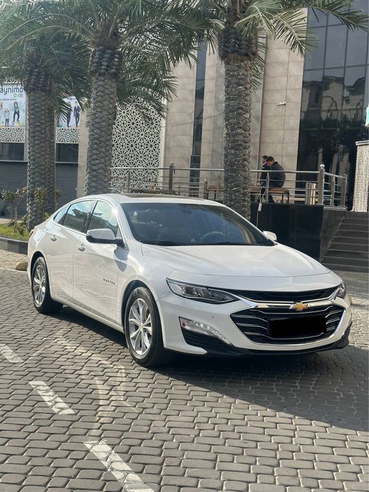 Malibu Premier Full Pozitsya