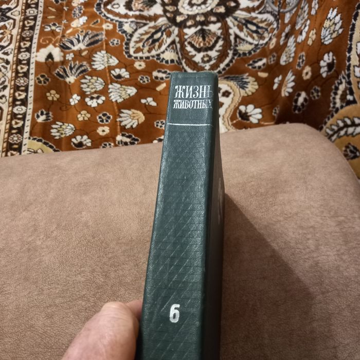 Книги типа энциклопедия