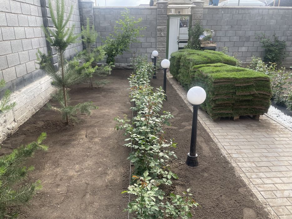 Уклдка газона