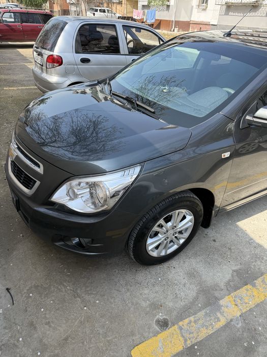 2023 топтоза сайил холати ало