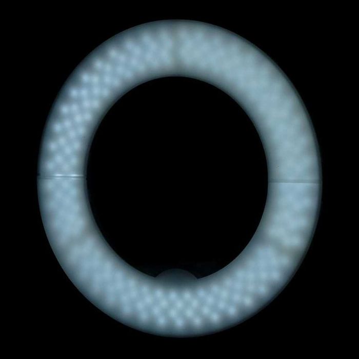 LED лампа Ring 10" - 8W - бяла/черна