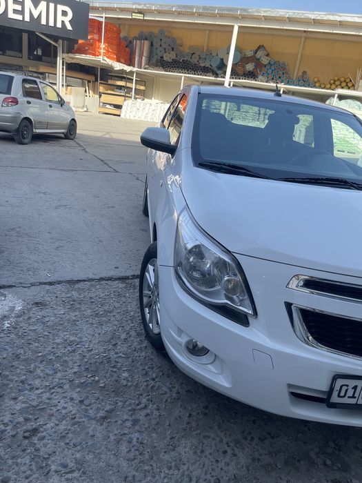 Коблт 4 позиция холати ало 100-% тозза