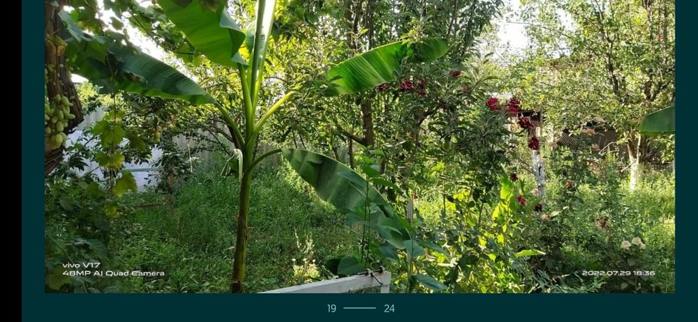 Продам дом. Все условия.