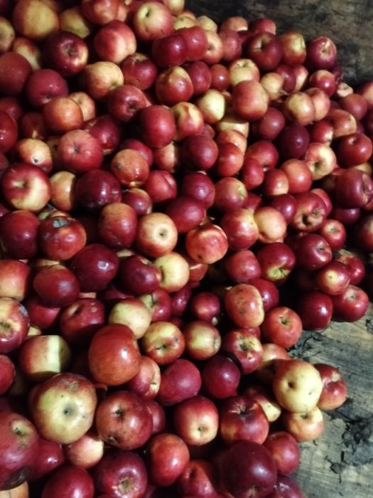 Mere Florian și Idared en- gros