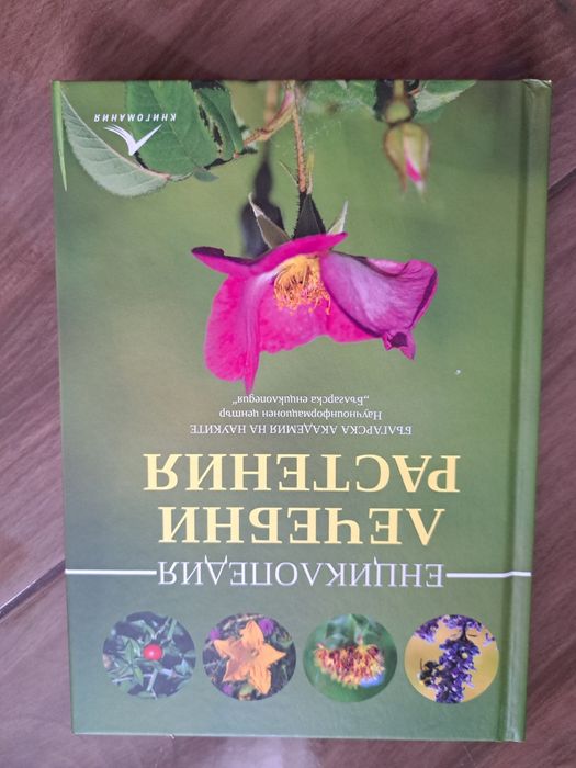 Книгии,енциклопедия