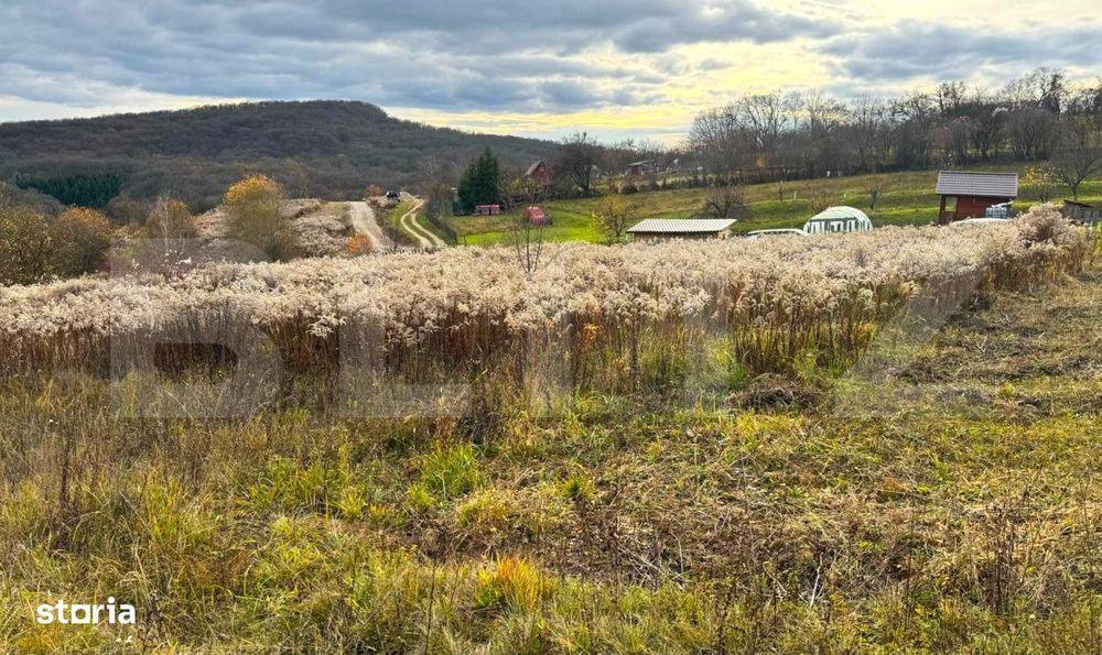 Teren extravilan de vanzare, 2400 mp, zona Valea Ghinzii