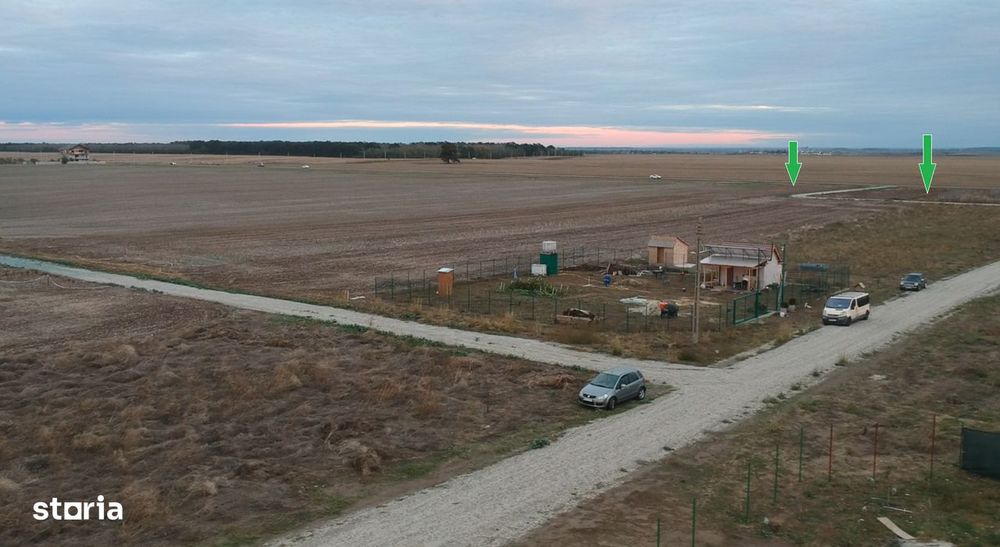 Loturi premium 1000 mp zona Frumușani – lângă pădure, drum județean. - Vedere 4