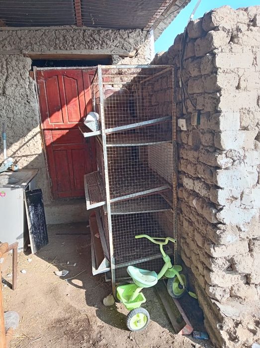 тауык пен боденеге клетка