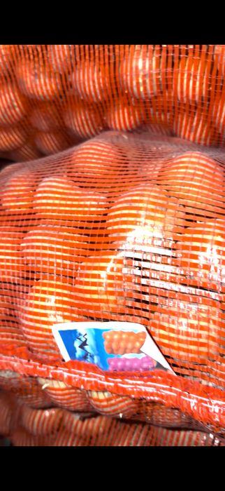 Семеной картофель