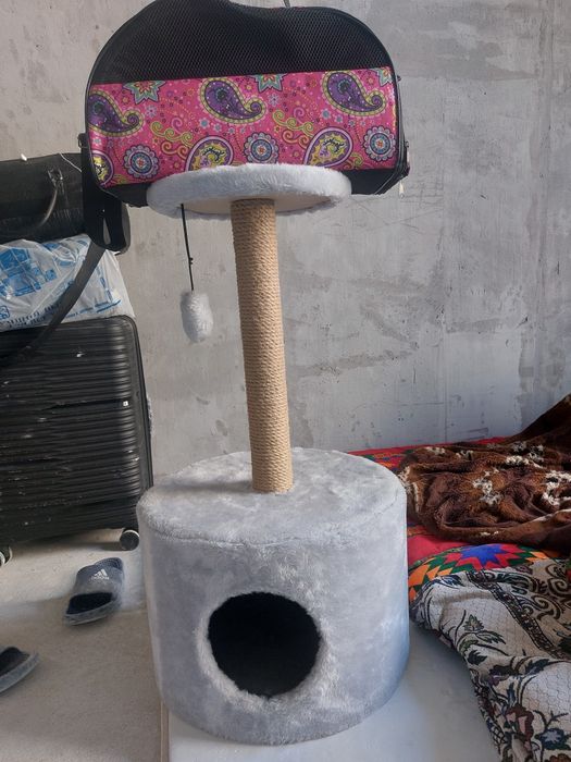 Дом для кошек почти новый