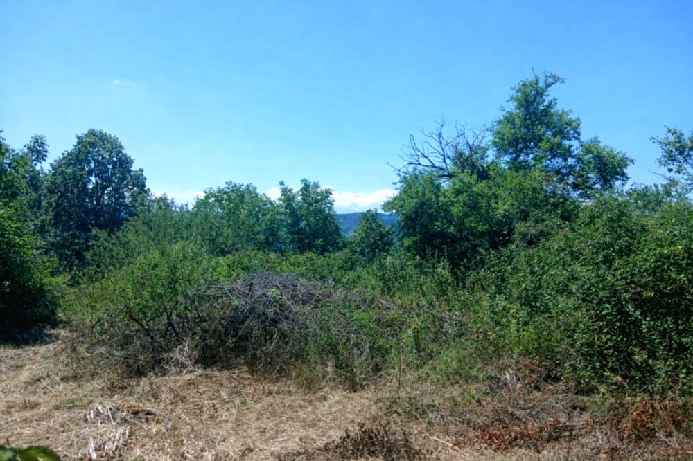 Продава се Парцел в Габрово, Трендафил 1 - 1265 кв.м за 11 €/кв.м - Снимка #4