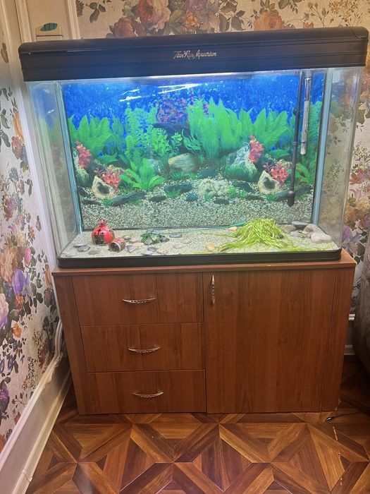 Аквариум 320 литров заводской, с тумбой и фильтр 125000