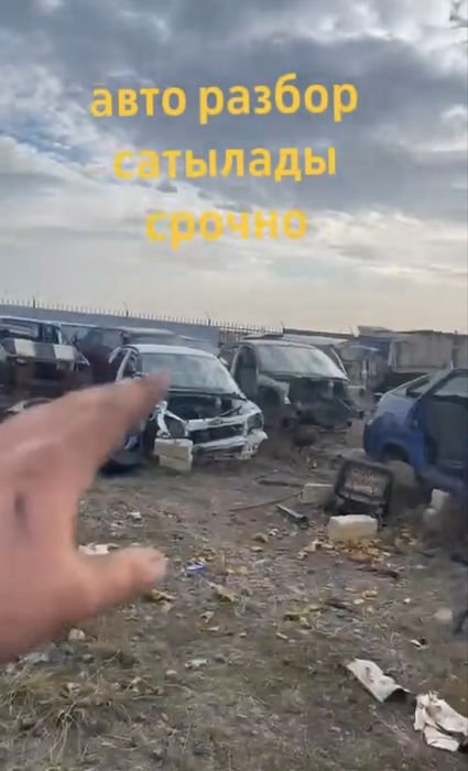 Обмен на баран овцы