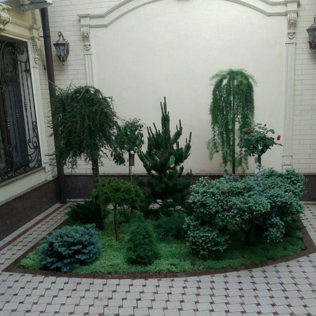 Богбон садовник услуги