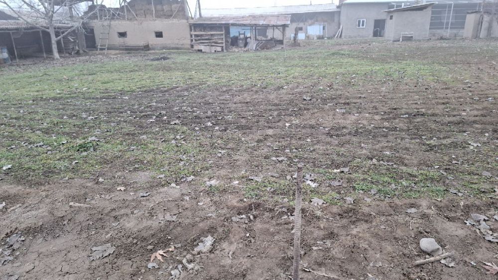 Yer sotiladi 5 sotix