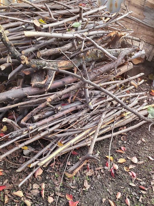 Дрова сухие,дрова колотые карагач