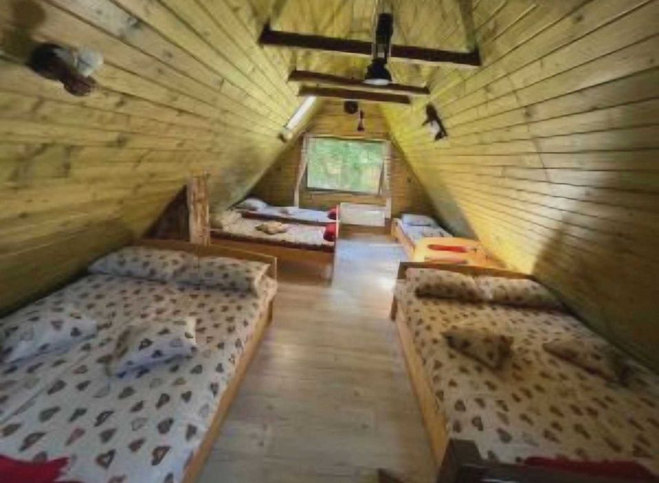 Cabana de vânzare la munte