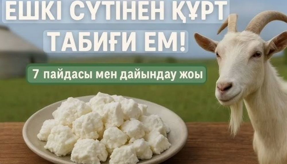 Құрт сатылады ...