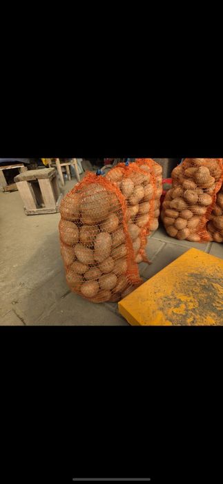 Cartofi de consum producător