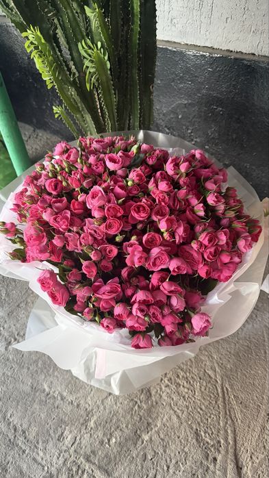 Очень красивые цветы