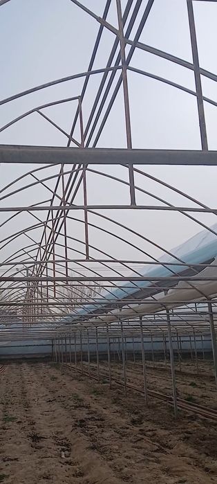 Теплица 1 соттық құрып беруімен