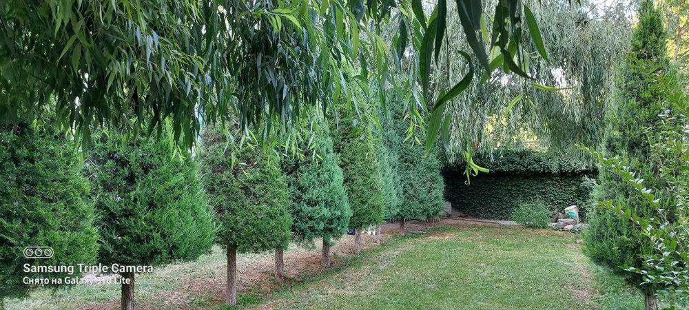 СРОЧНО! Продается СВОЯ дача