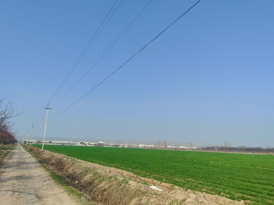 10 сотихли катта ҳовли сотилади, 8 хона (2 та оила учун идеал).