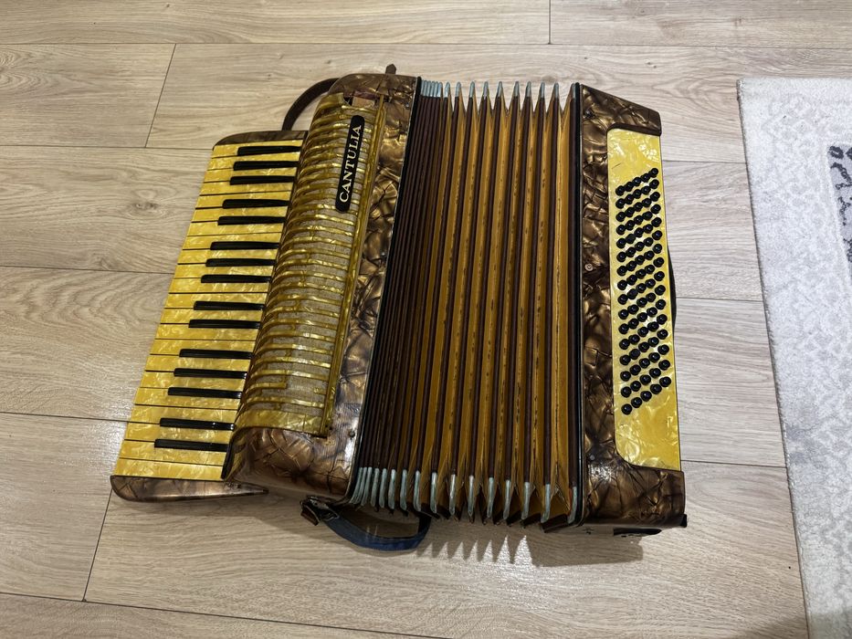 Acordeon pt piese de schimb