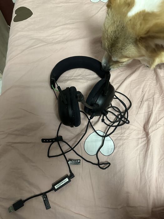 Razer Blackshark V2 +  Razer Usb Sound Card