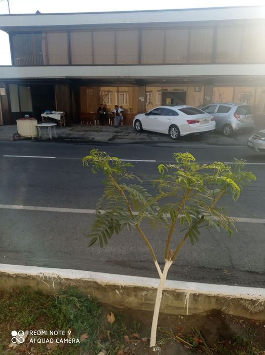 Kavob xona oshxona arendaga beriladi