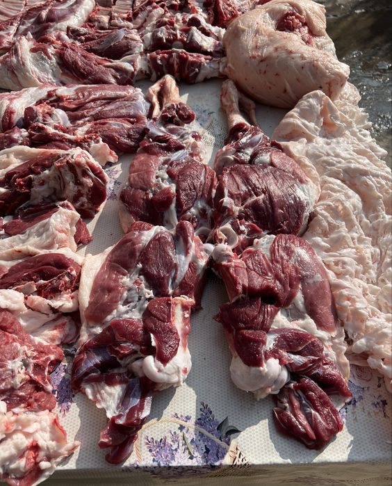 Тирик қўй, қассоб, тирик вазнига