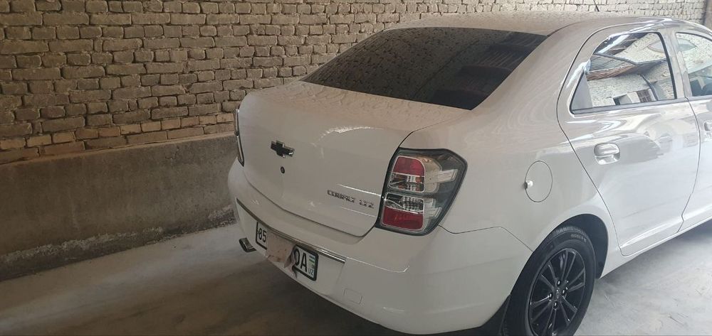 Cobalt midnight 2025