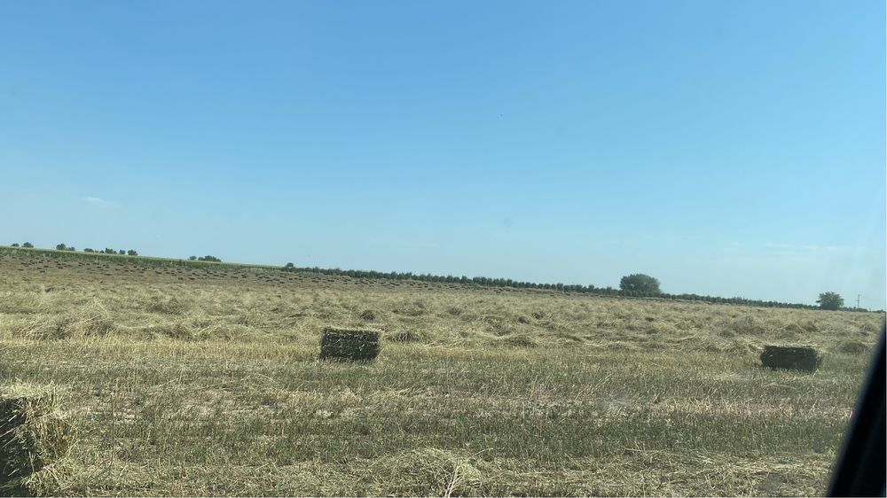 Продаём разнотравье с люцерну в тюках