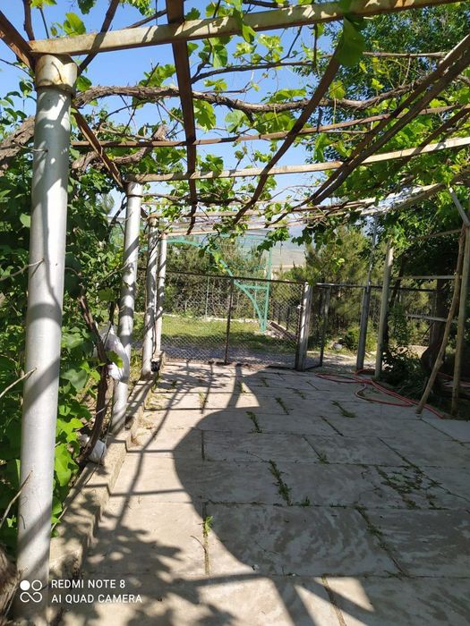 Продам дачу в горах Узбекистана