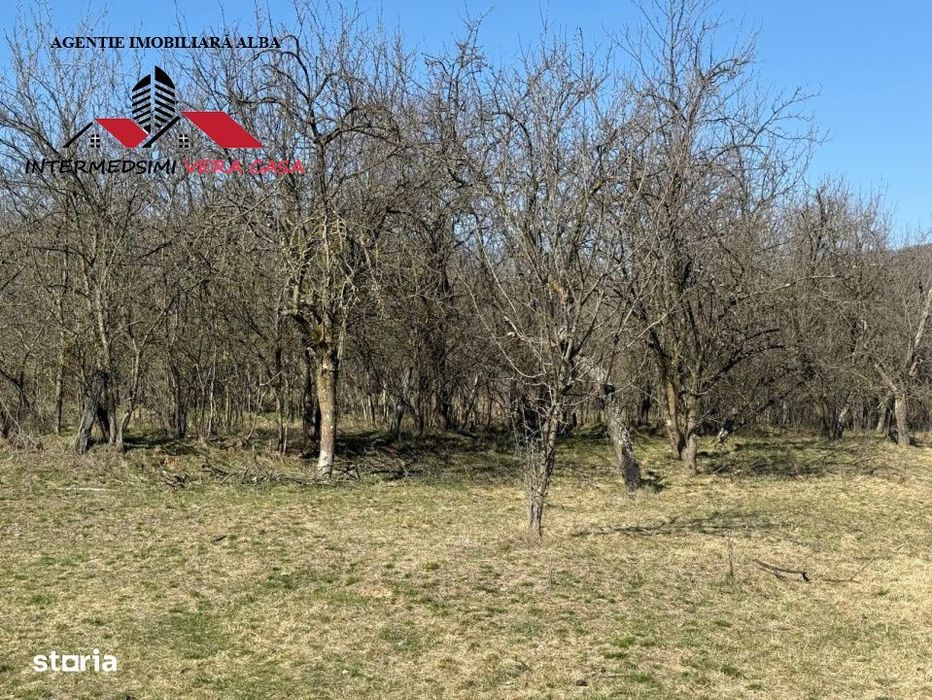 Casa si anexe cu un teren de 7701 mp de vanzare in Stauini  Jud Alba