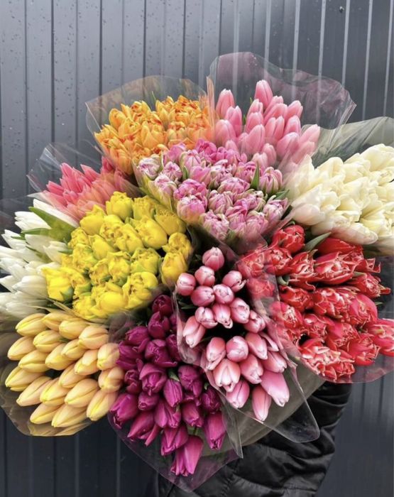 Тюльпан оптом Белорусский оптом в астане