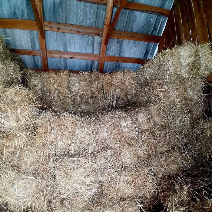 Vând baloți  de fân